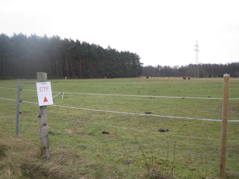 CTF Celle 060